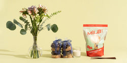 Thoughtful Bereavement Gifts to Show You Care