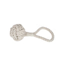 Eco-friendly Dog Toy Gift Basket - Paw-Some