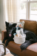 Dog Gift Basket - Lap it Up