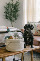 Dog Gift Basket - Lap it Up