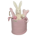 Chew Crew Gift Basket - Pink