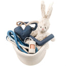 Eco-Friendly Dog Gift - Buddy's Got The Blues